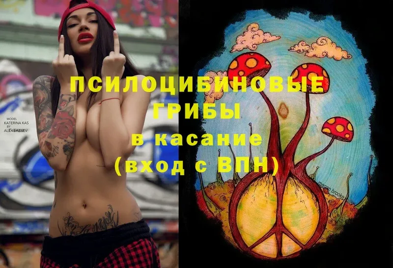 Псилоцибиновые грибы Magic Shrooms  Канаш 